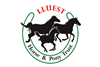 Lluest Horse and Pony Trust